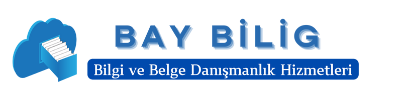 baybilig logo
