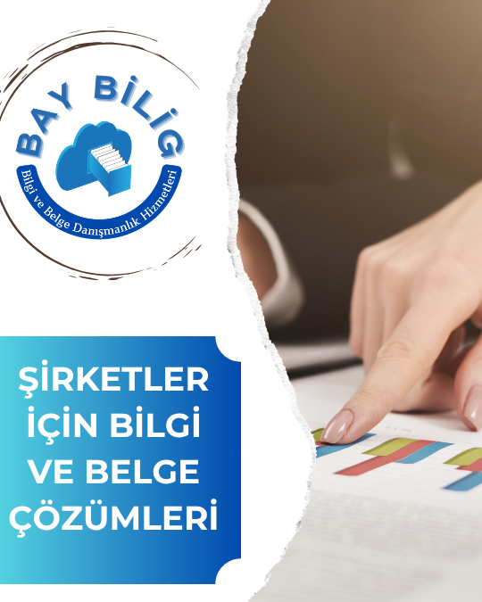 E-Ticaret